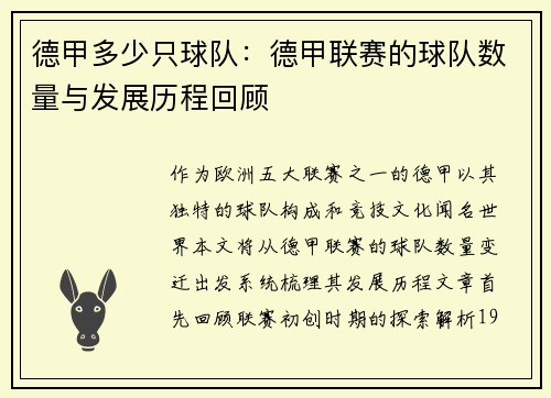 德甲多少只球队：德甲联赛的球队数量与发展历程回顾