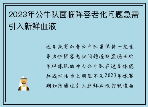 2023年公牛队面临阵容老化问题急需引入新鲜血液